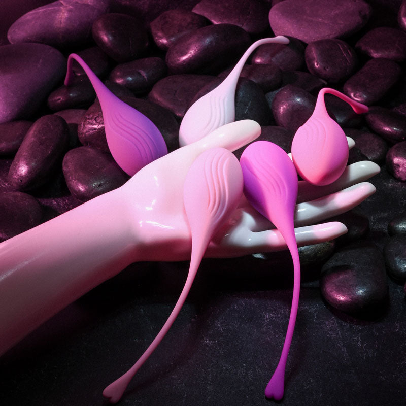 Evolved Tight & Delight Kegel Set | The Love Boulevard