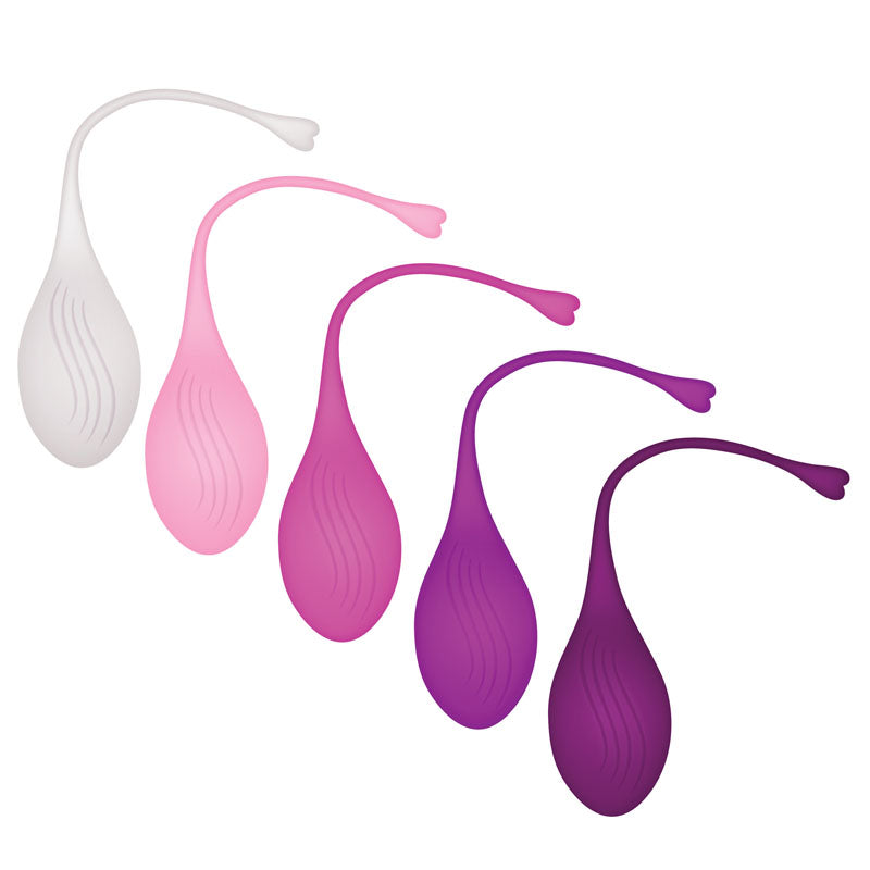 Evolved Tight & Delight Kegel Set | The Love Boulevard