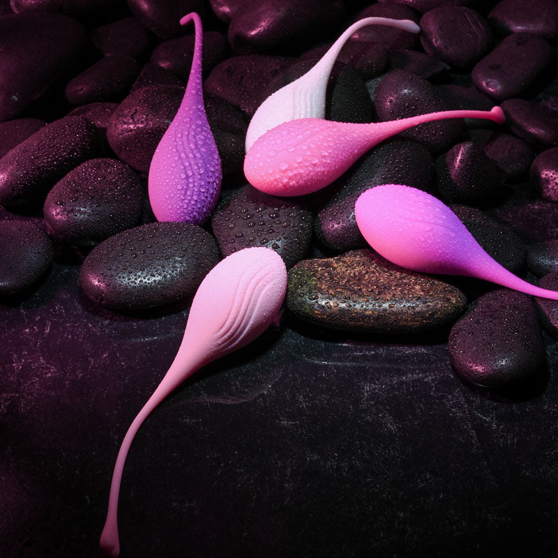 Evolved Tight & Delight Kegel Set | The Love Boulevard