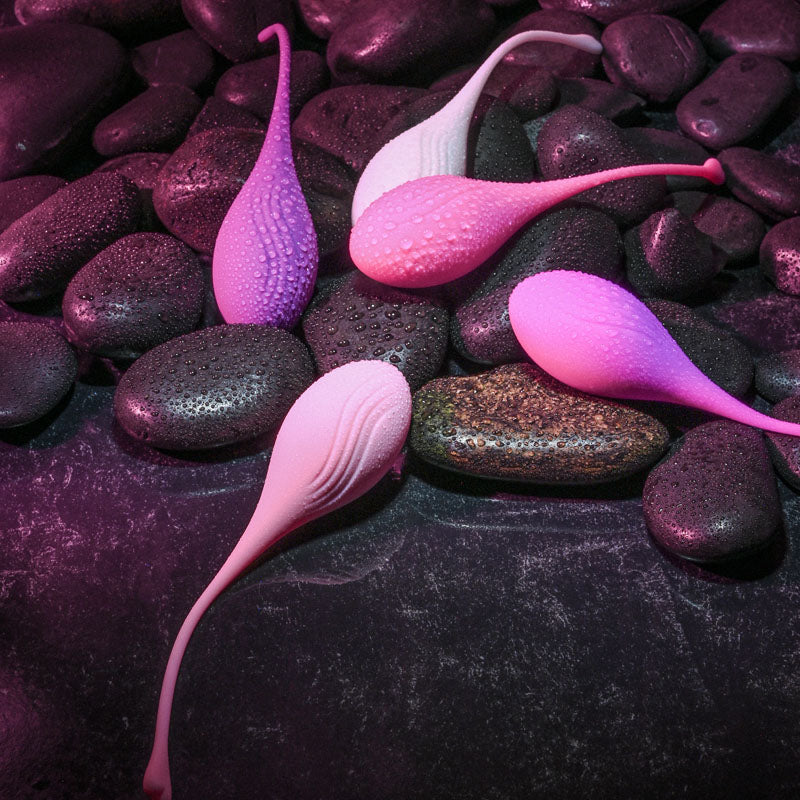Evolved Tight & Delight Kegel Set | The Love Boulevard