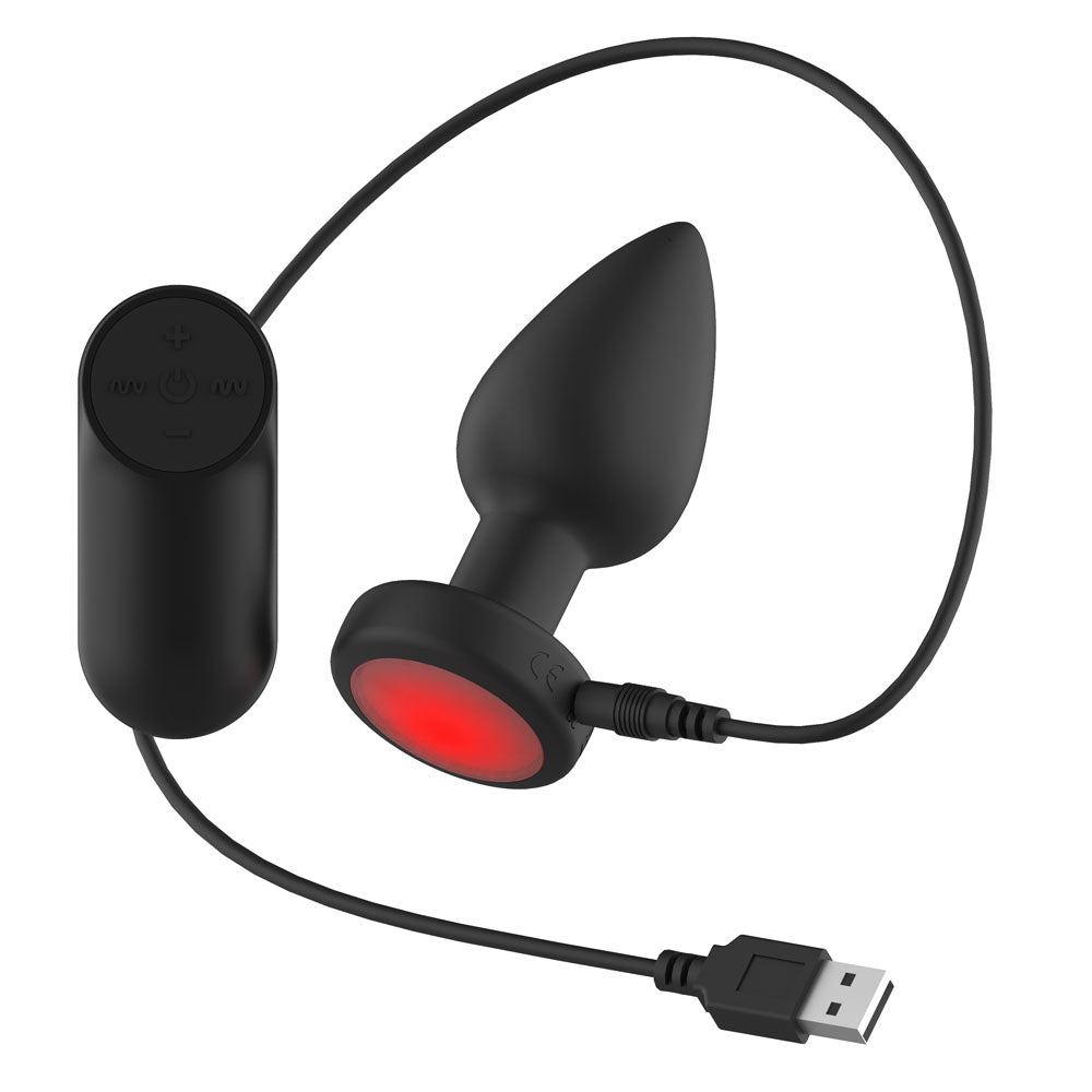 Passion Play medium LED butt plug showing the USB charging connection beside the wireless remote